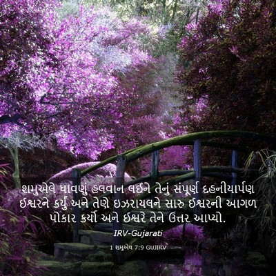 Picture 03 - 1 શમુએલ 7:9 GUJIRV - શમુએલે ધાવણું - Bible Verse Picture