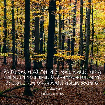 Picture 03 - 1 શમુએલ 9:12 GUJIRV - તેઓએ ઉત્તર આપ્યો, - Bible Verse Picture