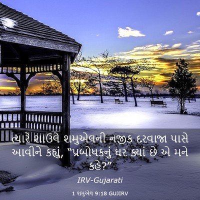 Picture 03 - 1 શમુએલ 9:18 GUJIRV - ત્યારે શાઉલે - Bible Verse Picture