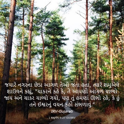 Picture 03 - 1 શમુએલ 9:27 GUJIRV - જયારે નગરના છેડા - Bible Verse Picture