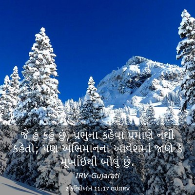Picture 03 - 2 કરિંથીઓને 11:17 GUJIRV - જે હું કહું છું, - Bible Verse Picture