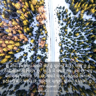 Picture 03 - 2 કરિંથીઓને 11:23 GUJIRV - શું તેઓ - Bible Verse Picture