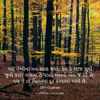 Picture 03 - 2 કરિંથીઓને 3:14 GUJIRV - પણ તેઓના મન કઠણ - Bible Verse Picture