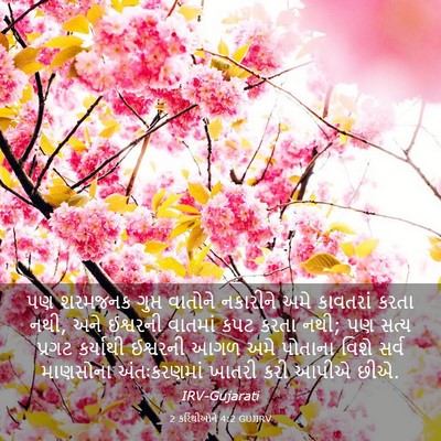 Picture 03 - 2 કરિંથીઓને 4:2 GUJIRV - પણ શરમજનક ગુપ્ત - Bible Verse Picture
