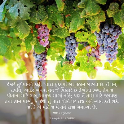 Picture 03 - 2 કાળવૃતાંત 1:11 GUJIRV - ઈશ્વરે સુલેમાનને - Bible Verse Picture