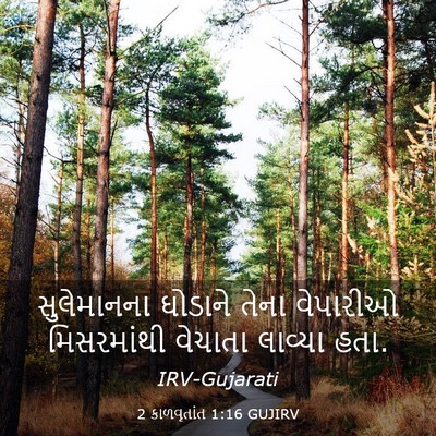 Picture 03 - 2 કાળવૃતાંત 1:16 GUJIRV - સુલેમાનના ઘોડાને - Bible Verse Picture