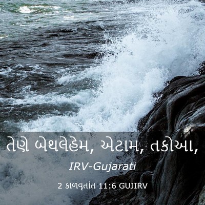 Picture 03 - 2 કાળવૃતાંત 11:6 GUJIRV - તેણે બેથલેહેમ, - Bible Verse Picture