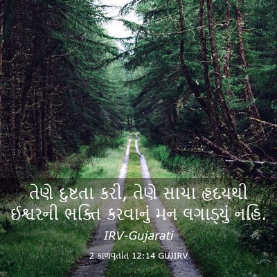 Picture 03 - 2 કાળવૃતાંત 12:14 GUJIRV - તેણે દુષ્ટતા કરી, - Bible Verse Picture