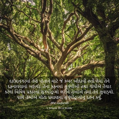Picture 03 - 2 કાળવૃતાંત 16:14 GUJIRV - દાઉદનગરમાં તેણે - Bible Verse Picture