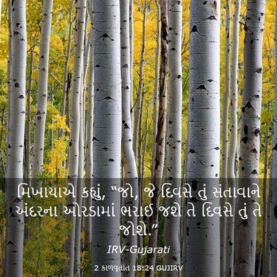 Picture 03 - 2 કાળવૃતાંત 18:24 GUJIRV - મિખાયાએ કહ્યું, - Bible Verse Picture