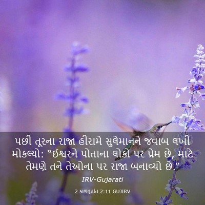 Picture 03 - 2 કાળવૃતાંત 2:11 GUJIRV - પછી તૂરના રાજા - Bible Verse Picture