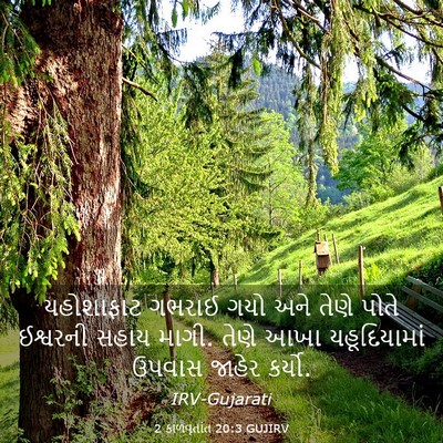 Picture 03 - 2 કાળવૃતાંત 20:3 GUJIRV - યહોશાફાટ ગભરાઈ - Bible Verse Picture