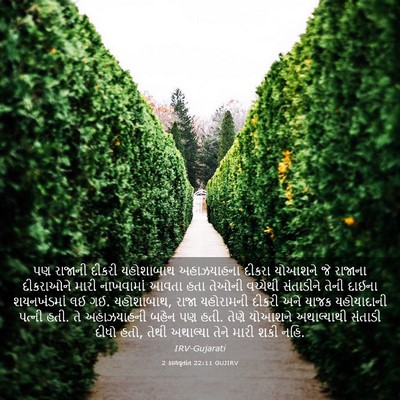 Picture 03 - 2 કાળવૃતાંત 22:11 GUJIRV - પણ રાજાની દીકરી - Bible Verse Picture