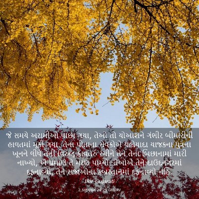 Picture 03 - 2 કાળવૃતાંત 24:25 GUJIRV - જે સમયે અરામીઓ - Bible Verse Picture