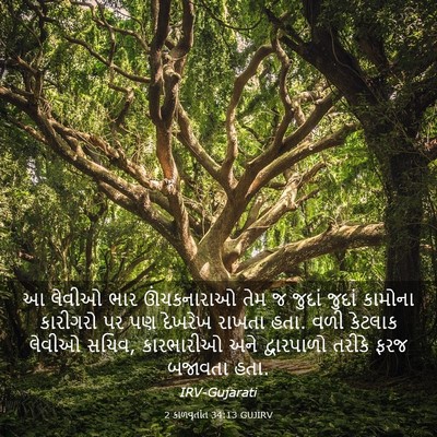 Picture 03 - 2 કાળવૃતાંત 34:13 GUJIRV - આ લેવીઓ ભાર - Bible Verse Picture