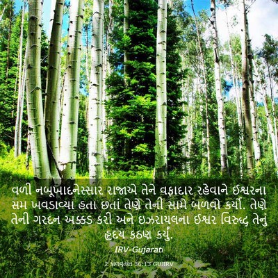 Picture 03 - 2 કાળવૃતાંત 36:13 GUJIRV - વળી નબૂખાદનેસ્સાર - Bible Verse Picture