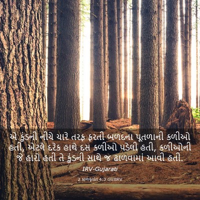 Picture 03 - 2 કાળવૃતાંત 4:3 GUJIRV - એ કુંડની નીચે ચારે - Bible Verse Picture