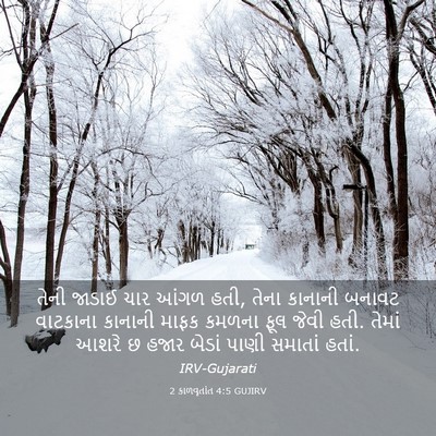 Picture 03 - 2 કાળવૃતાંત 4:5 GUJIRV - તેની જાડાઈ ચાર - Bible Verse Picture