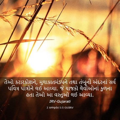 Picture 03 - 2 કાળવૃતાંત 5:5 GUJIRV - તેઓ કરારકોશને, - Bible Verse Picture