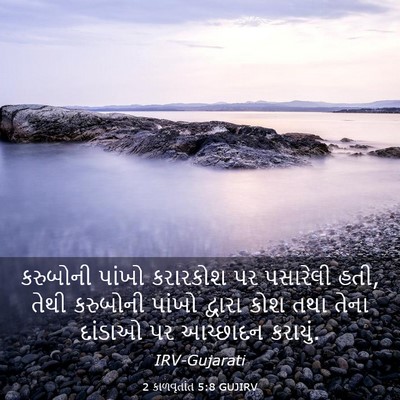 Picture 03 - 2 કાળવૃતાંત 5:8 GUJIRV - કરુબોની પાંખો - Bible Verse Picture