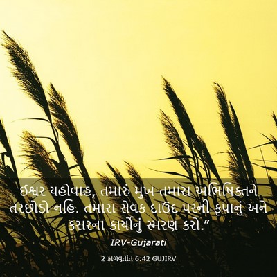 Picture 03 - 2 કાળવૃતાંત 6:42 GUJIRV - ઈશ્વર યહોવાહ, - Bible Verse Picture