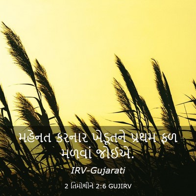 Picture 03 - 2 તિમોથીને 2:6 GUJIRV - મહેનત કરનાર - Bible Verse Picture