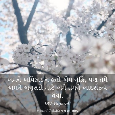 Picture 03 - 2 થેસ્સલોનિકીઓને 3:9 GUJIRV - અમને અધિકાર ન હતો - Bible Verse Picture