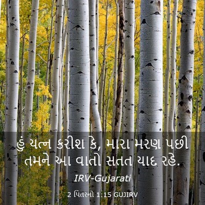 Picture 03 - 2 પિતરનો 1:15 GUJIRV - હું યત્ન કરીશ કે, - Bible Verse Picture