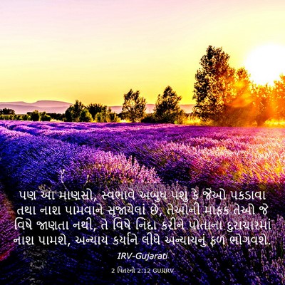 Picture 03 - 2 પિતરનો 2:12 GUJIRV - પણ આ માણસો, સ્વભાવે - Bible Verse Picture