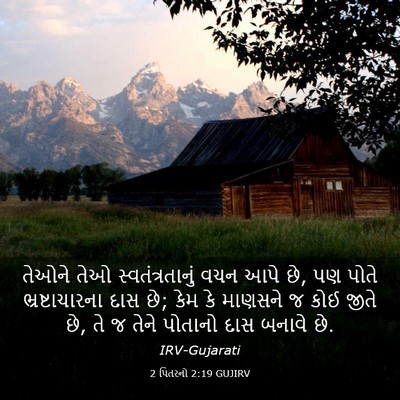 Picture 03 - 2 પિતરનો 2:19 GUJIRV - તેઓને તેઓ - Bible Verse Picture