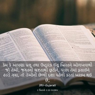 Picture 03 - 2 પિતરનો 2:20 GUJIRV - કેમ કે આપણા પ્રભુ - Bible Verse Picture