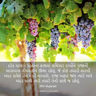 Picture 03 - 2 રાજાઓ 11:8 GUJIRV - દરેક માણસે પોતાના - Bible Verse Picture
