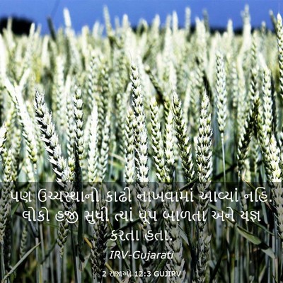 Picture 03 - 2 રાજાઓ 12:3 GUJIRV - પણ ઉચ્ચસ્થાનો - Bible Verse Picture