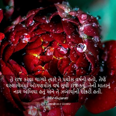 Picture 03 - 2 રાજાઓ 18:2 GUJIRV - તે રાજ કરવા લાગ્યો - Bible Verse Picture