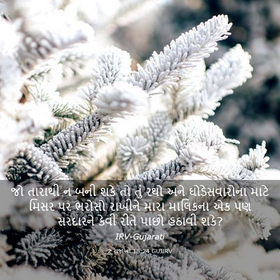 Picture 03 - 2 રાજાઓ 18:24 GUJIRV - જો તારાથી ન બની શકે - Bible Verse Picture