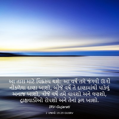 Picture 03 - 2 રાજાઓ 19:29 GUJIRV - આ તારા માટે - Bible Verse Picture