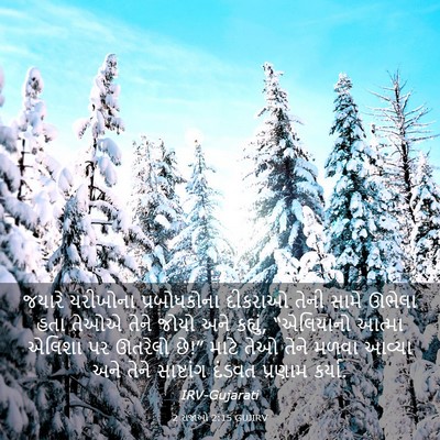 Picture 03 - 2 રાજાઓ 2:15 GUJIRV - જયારે યરીખોના - Bible Verse Picture