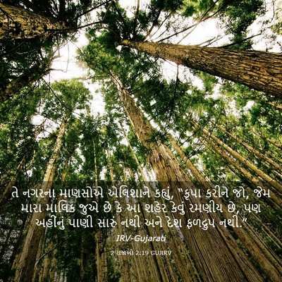 Picture 03 - 2 રાજાઓ 2:19 GUJIRV - તે નગરના માણસોએ - Bible Verse Picture