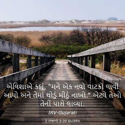 Picture 03 - 2 રાજાઓ 2:20 GUJIRV - એલિશાએ કહ્યું, - Bible Verse Picture
