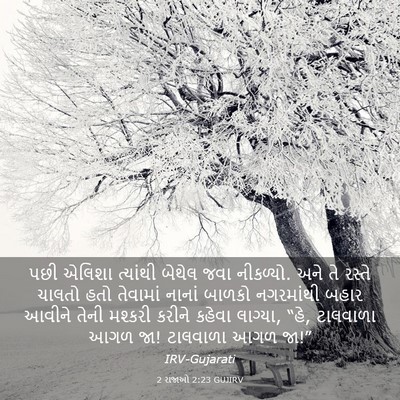Picture 03 - 2 રાજાઓ 2:23 GUJIRV - પછી એલિશા ત્યાંથી - Bible Verse Picture