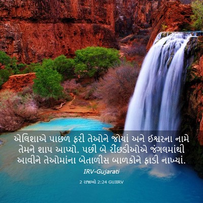 Picture 03 - 2 રાજાઓ 2:24 GUJIRV - એલિશાએ પાછળ ફરી - Bible Verse Picture