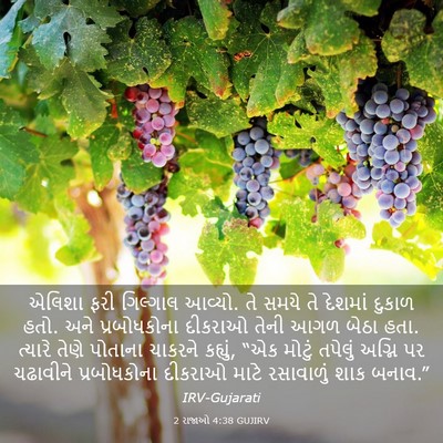 Picture 03 - 2 રાજાઓ 4:38 GUJIRV - એલિશા ફરી ગિલ્ગાલ - Bible Verse Picture