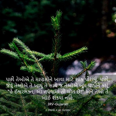 Picture 03 - 2 રાજાઓ 4:40 GUJIRV - પછી તેઓએ તે - Bible Verse Picture