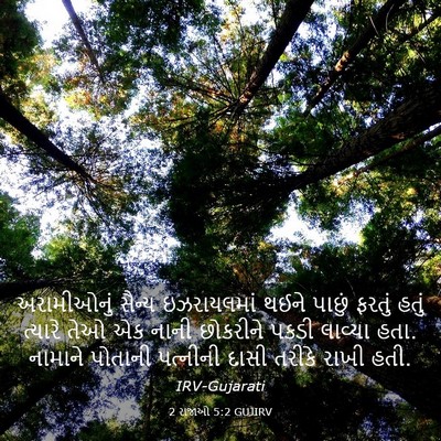 Picture 03 - 2 રાજાઓ 5:2 GUJIRV - અરામીઓનું સૈન્ય - Bible Verse Picture