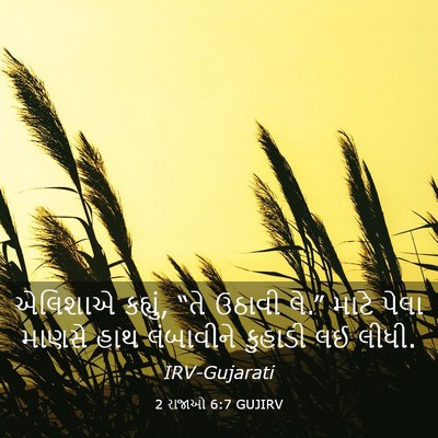 Picture 03 - 2 રાજાઓ 6:7 GUJIRV - એલિશાએ કહ્યું, “તે - Bible Verse Picture