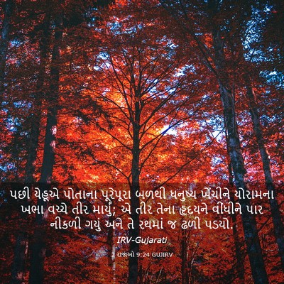 Picture 03 - 2 રાજાઓ 9:24 GUJIRV - પછી યેહૂએ પોતાના - Bible Verse Picture