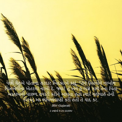 Picture 03 - 2 રાજાઓ 9:25 GUJIRV - પછી યેહૂએ પોતાના - Bible Verse Picture