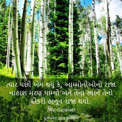 Picture 03 - 2 શમુએલ 10:1 GUJIRV - ત્યાર પછી એમ થયું - Bible Verse Picture