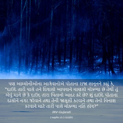Picture 03 - 2 શમુએલ 10:3 GUJIRV - પણ આમ્મોનીઓના - Bible Verse Picture