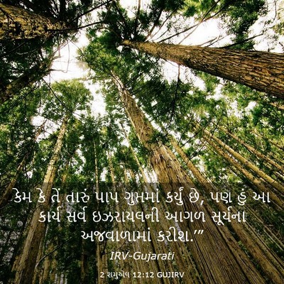 Picture 03 - 2 શમુએલ 12:12 GUJIRV - કેમ કે તેં તારું - Bible Verse Picture